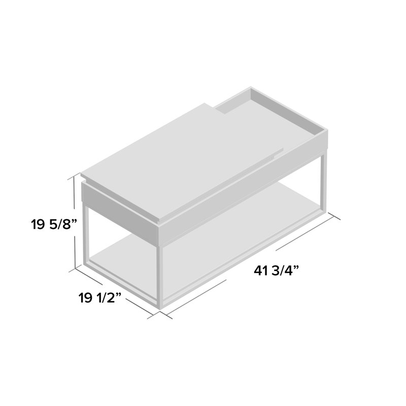 Willa Arlo Interiors Broadridge Coffee Table with Tray Top and Storage